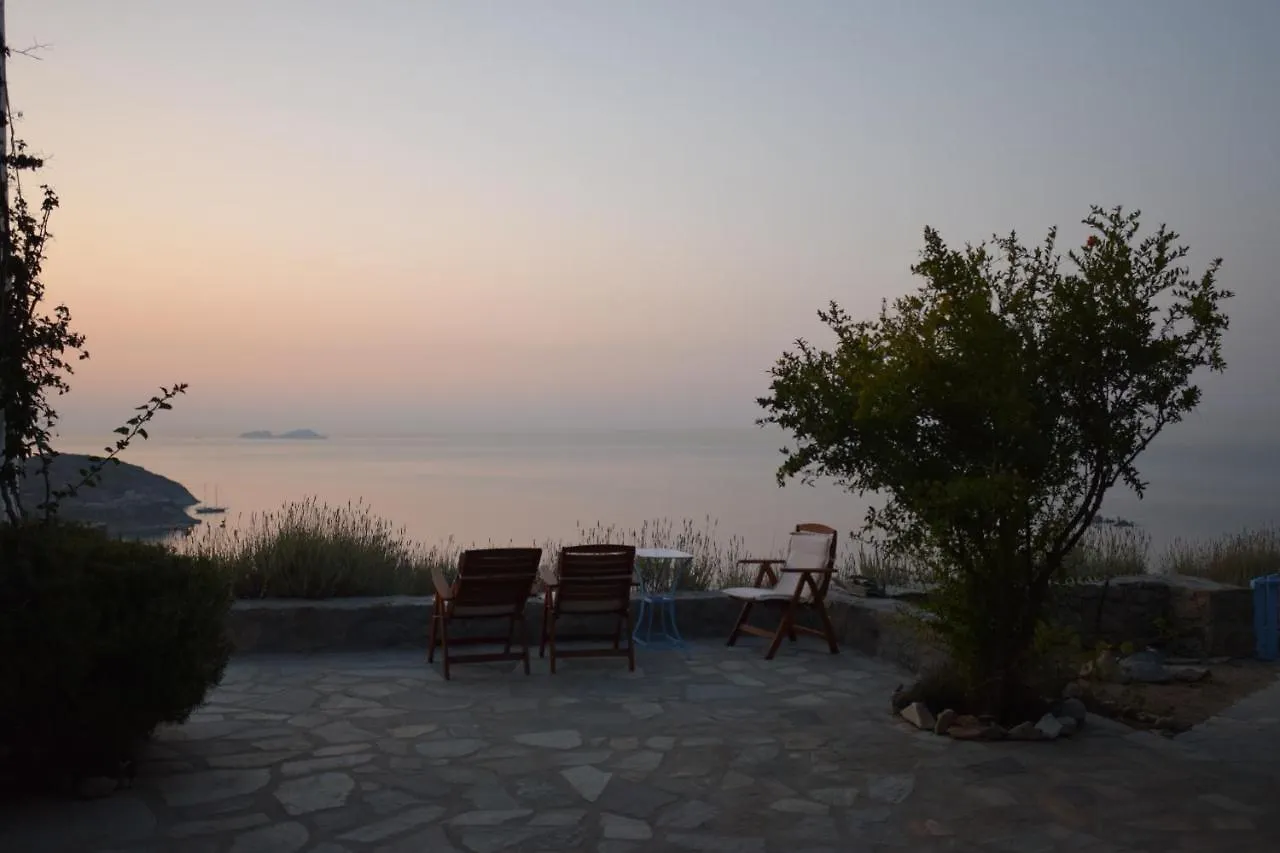 Апарт-отель Andromeda Mykonos Villas & Suites Кало-Ливади